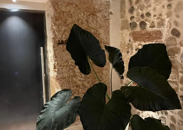 Palazzo San Zeno Apartment